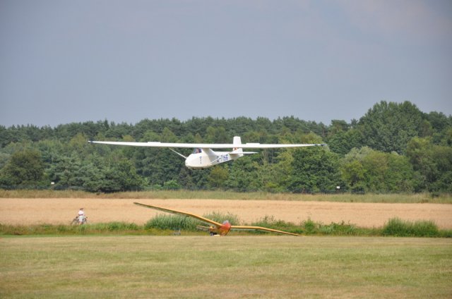 DSC_5285 (800x531)